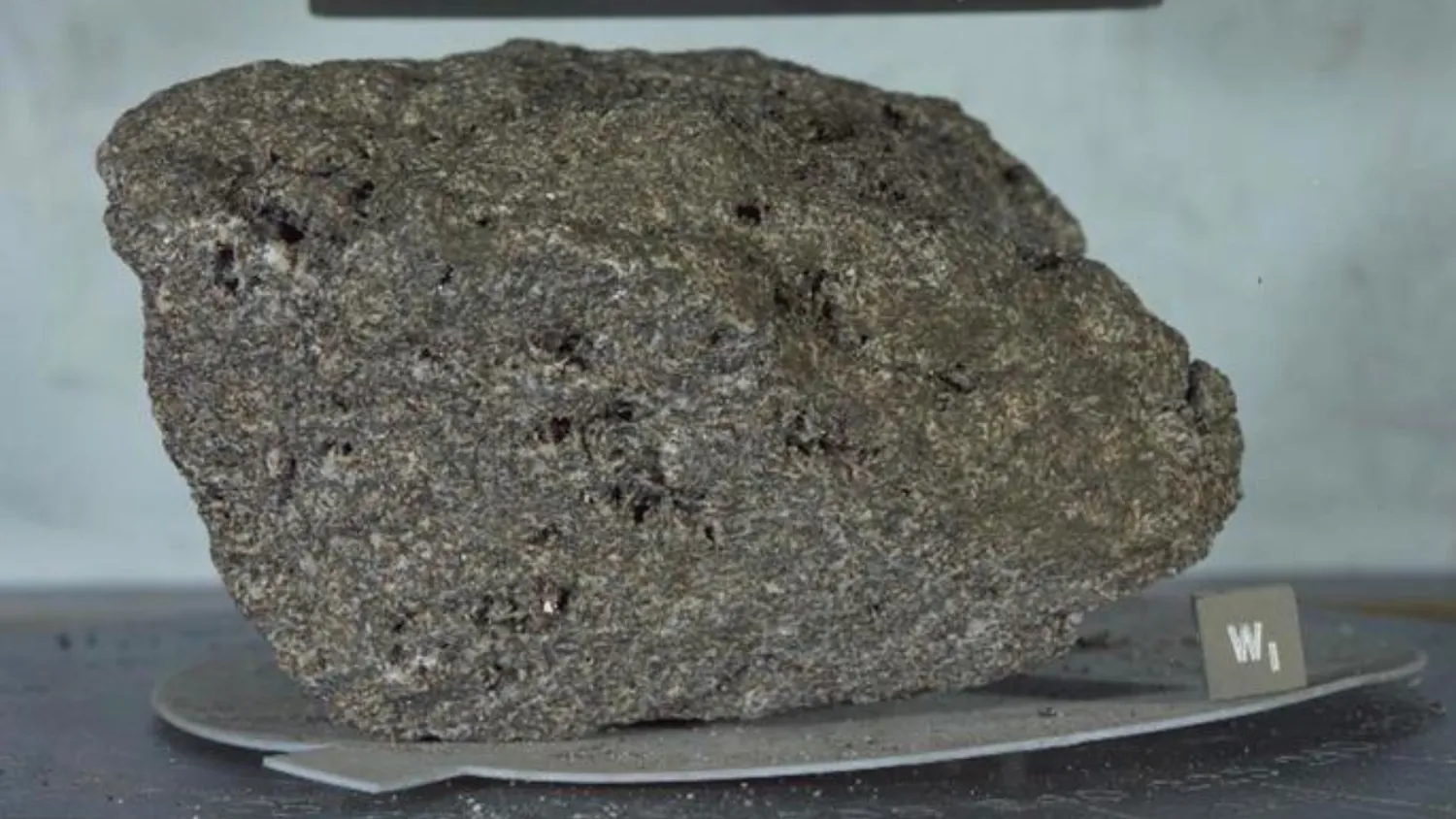 Eine große Gesteinsprobe auf einer grauen Platte.