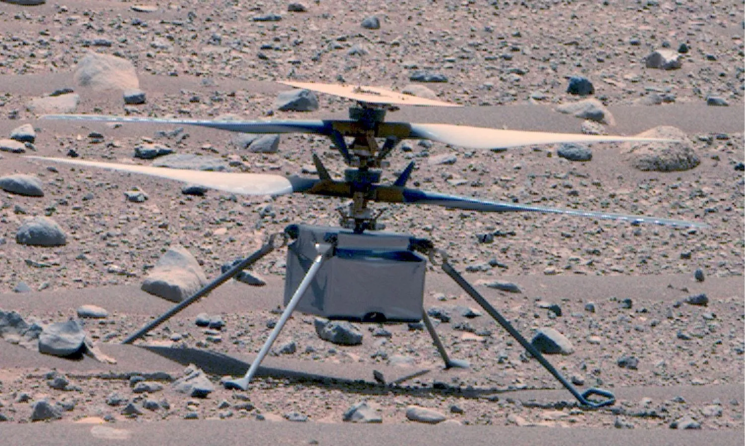 Der Ingenuity-Mars-Hubschrauber der NASA, fotografiert vom Perseverance-Rover der Behörde am 16. April 2023. Der Rover nahm dieses Bild in verbesserter Farbe mit seinem Mastcam-Z-Instrument auf. 