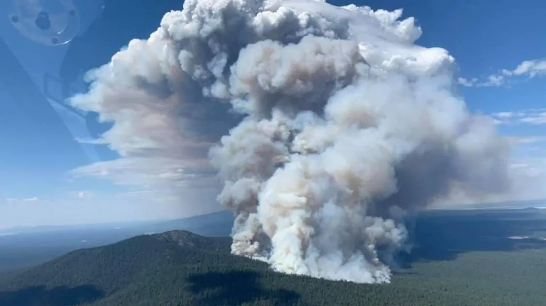 Eine riesige Rauchwolke entspringt dem Bootleg-Wildfeuer in Oregon zu Beginn seiner Entwicklung am 17. Juli 2021.