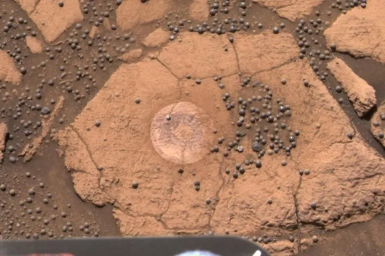 flacher roter Felsen mit mehreren runden Kieselsteinen auf der Oberseite, auf der Oberfläche des Mars