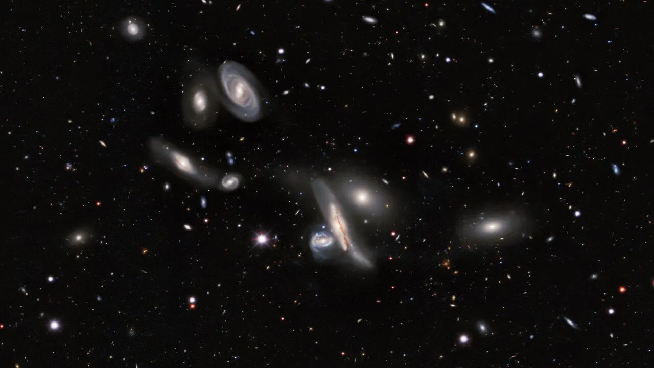 Ein Schwarm von Galaxien unterschiedlicher Größe malt eine Streuung über den schwarzen Raum.