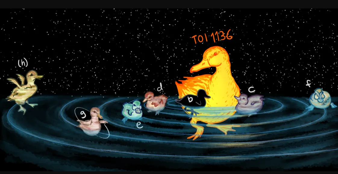 Eine Illustration zeigt die Planeten des Systems TOI-1136 als Enten