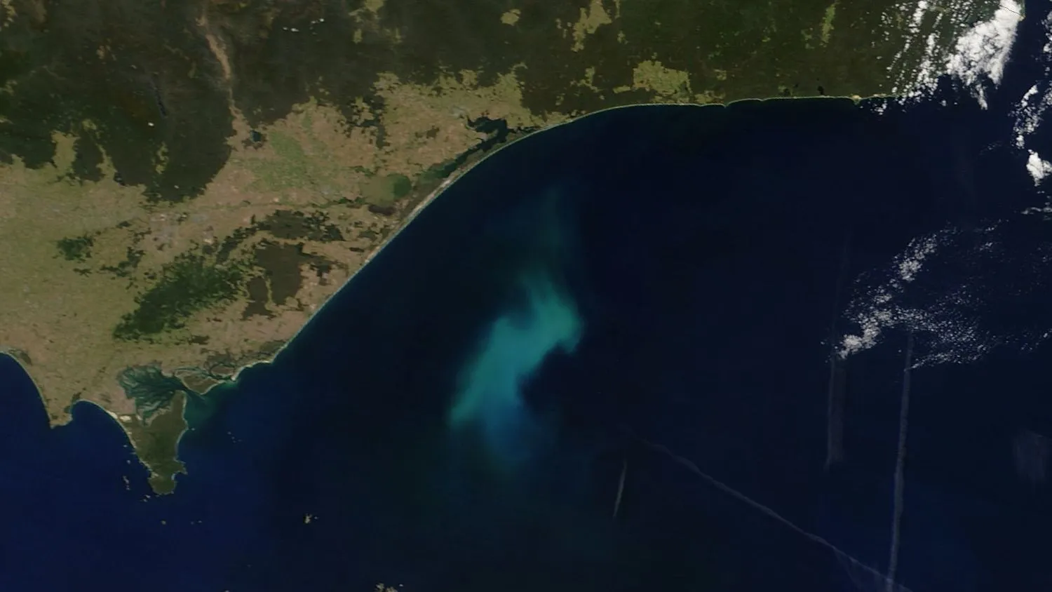 Ein Beispiel für eine Phytoplanktonblüte vor Südostaustralien, aufgenommen mit dem MODIS-Instrument (Moderate Resolution Imaging Spectroradiometer) der NASA.