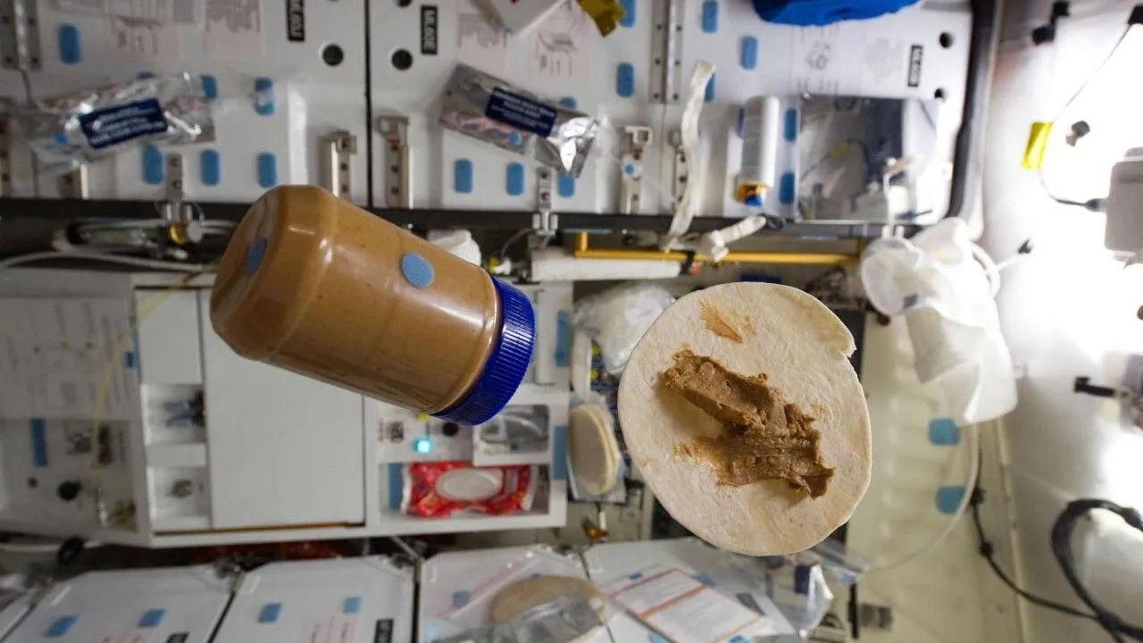 ein schwimmendes Erdnussbutterglas und eine schwimmende Tortilla mit Erdnussbutter, nebeneinander, in einem Modul der Internationalen Raumstation