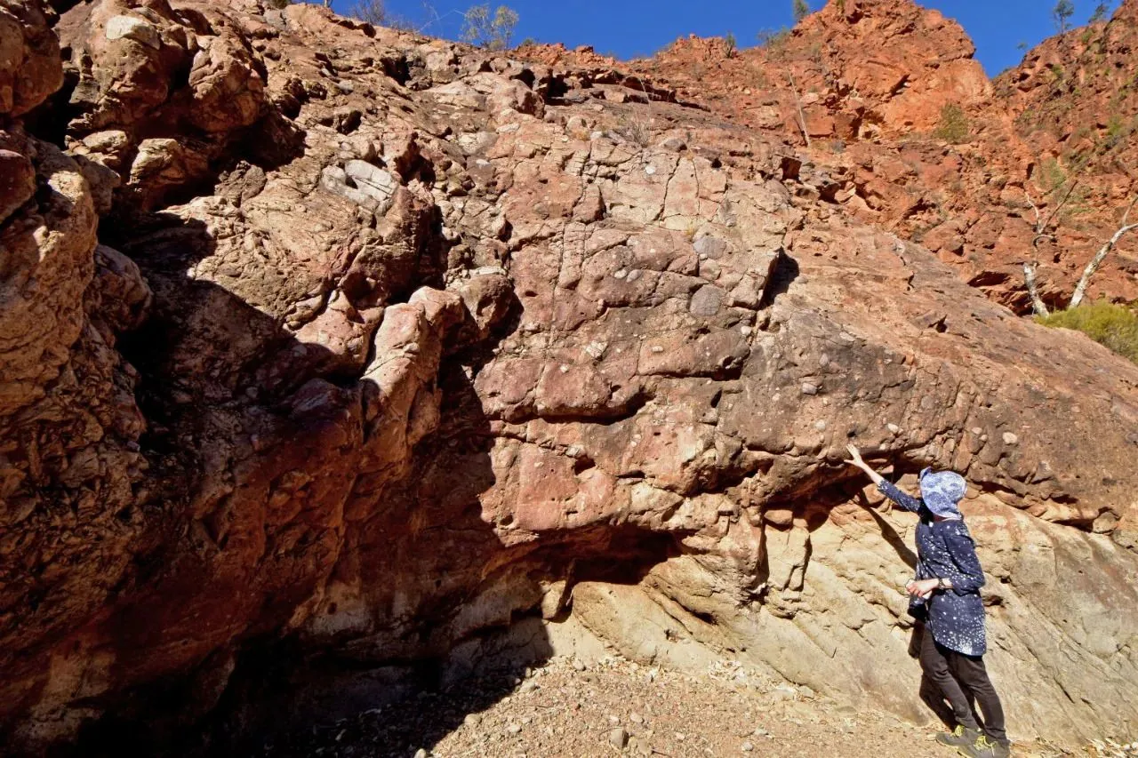 Ablagerungen aus der Sturtischen Vergletscherung vor 717-664 Millionen Jahren in den nördlichen Flinders Ranges, Australien. Die Hauptautorin der Studie, Dr. Adriana Dutkiewicz, zeigt auf ein dickes Bett aus glazialen Ablagerungen.