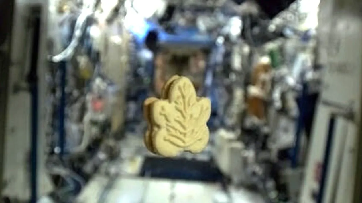 ein Keks schwebt vor einem überfüllten Raumstationsmodul