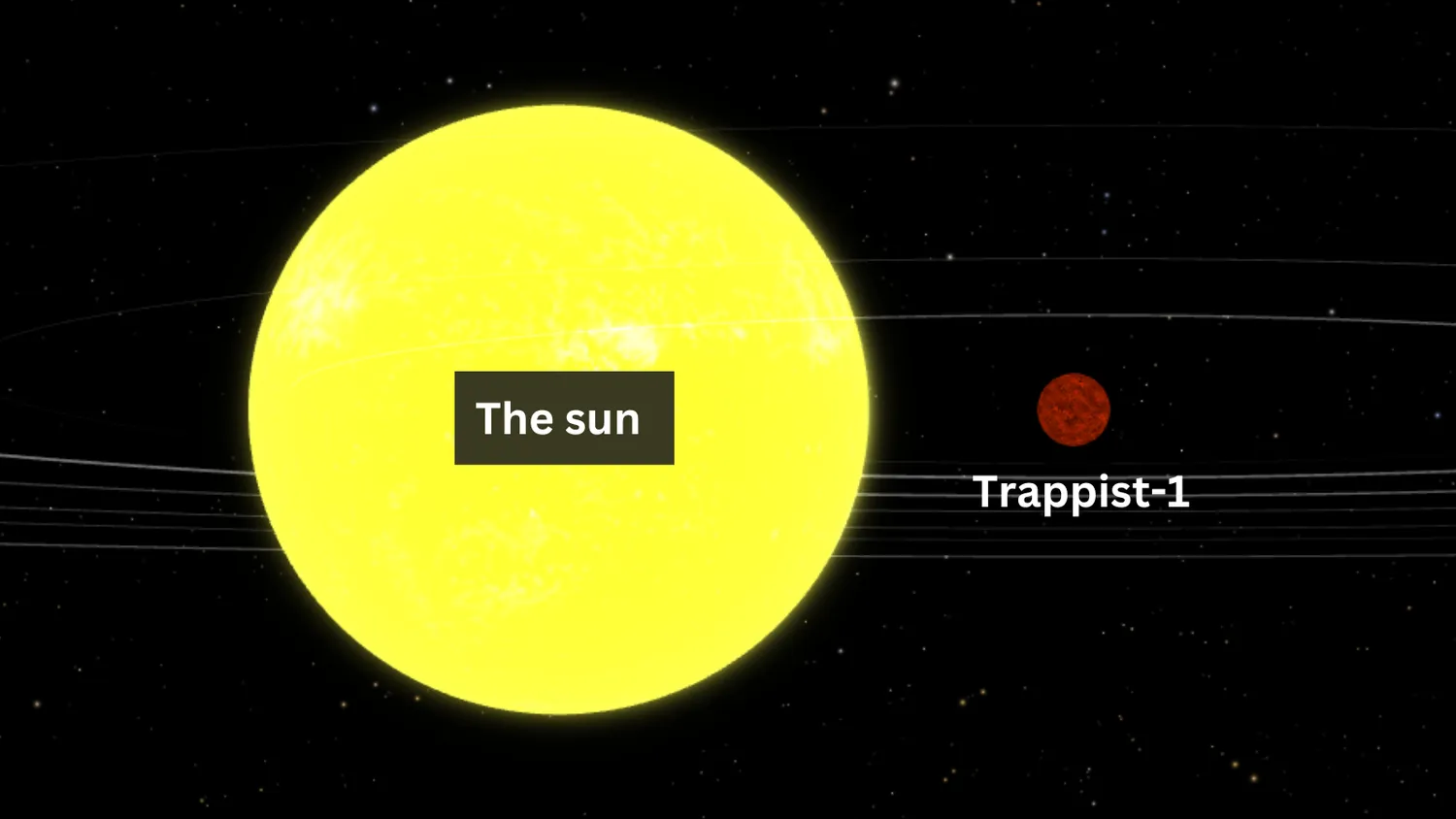 Eine Illustration, die den Größenunterschied zwischen Trappist-1 und der Sonne zeigt. Die Sonne ist viel größer.