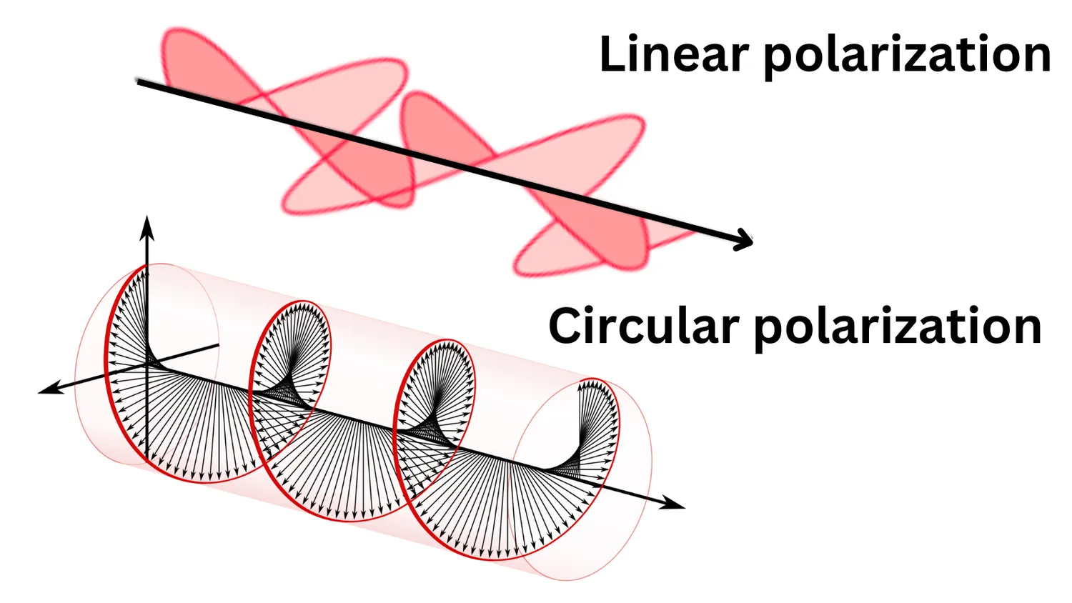 Lineare Polarisation vs. zirkulare Polarisation. Das lineare Diagramm zeigt Licht, das sich in einer Ebene bewegt, während das zirkuläre Diagramm Licht zeigt, das sich in einer Art Spiralform bewegt.