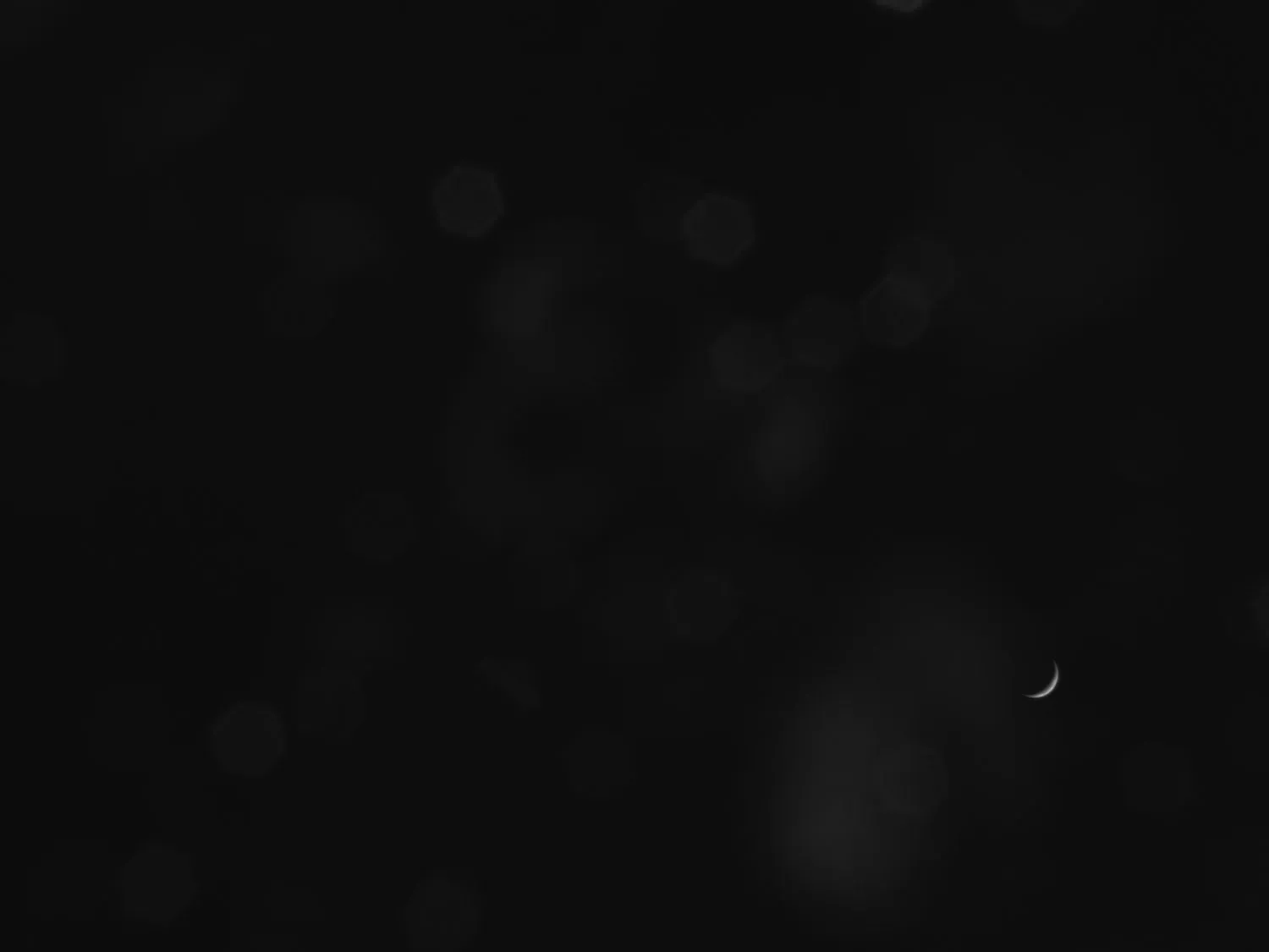 ein ganz schwarzes Bild mit einer schwachen Mondsichel in der unteren rechten Ecke