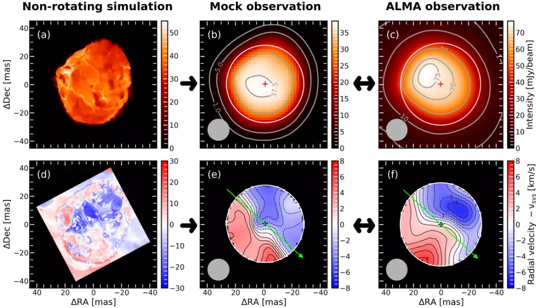 Ein Diagramm, das verschiedene Simulationen und Beobachtungen des Spins von Betelgeuse zeigt.