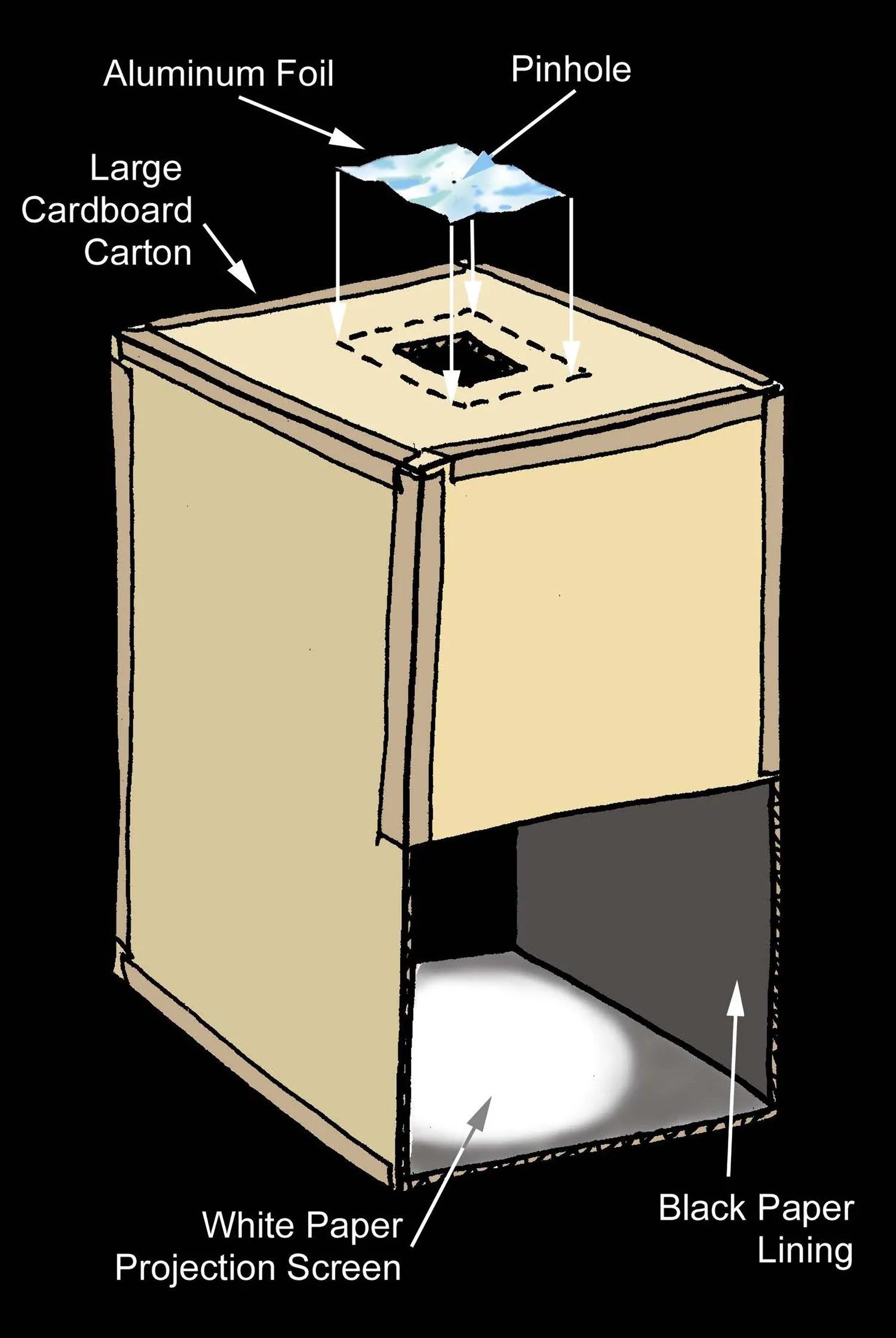Diagramm eines Kartons mit einer Lochblende in Alufolie an einem Ende und einem Projektorbildschirm am anderen Ende sowie einem Spalt an der Seite, durch den man den Projektorbildschirm sehen kann.