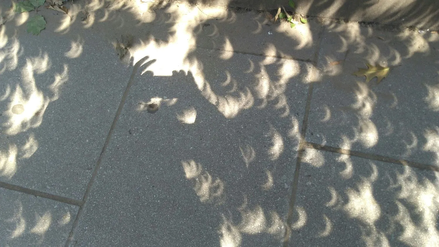 Der Schatten einer Frau spiegelt sich auf dem Bürgersteig, als sie ein Foto von der Sonnenfinsternis macht, die durch die Blätter der Bäume auf dem Bürgersteig am 21. August 2017 in der Innenstadt von Washington, DC, geworfen wird