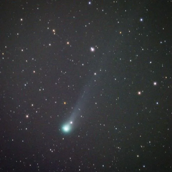 ein grün glühender Kern des Kometen ist mit einem langen Schweif vor einem sternenübersäten Himmel zu sehen.
