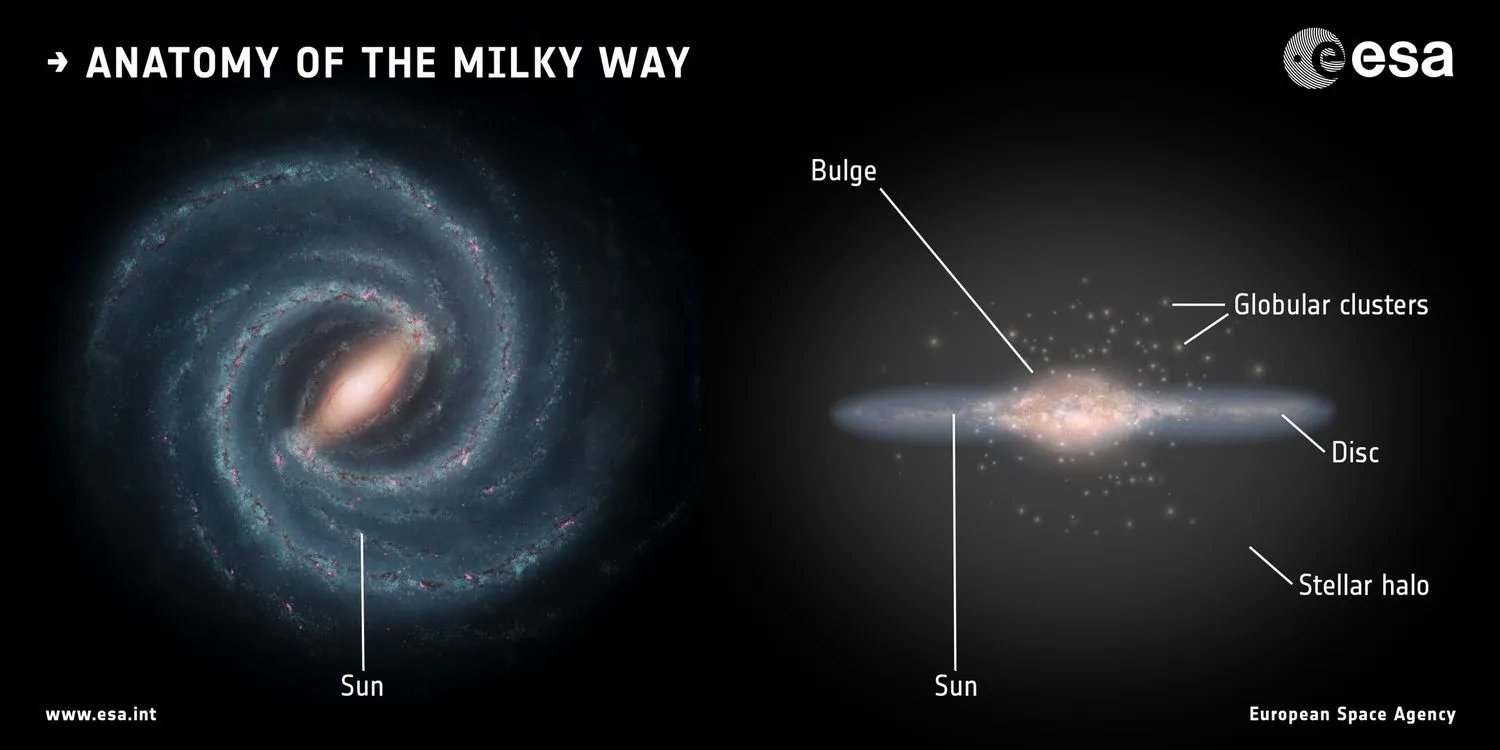 Ein Diagramm der Milchstraße, links frontal, rechts von der Seite betrachtet. Die linke Seite sieht aus wie eine Spirale, die rechte wie eine Scheibe mit einem wulstigen zentralen Fleck.